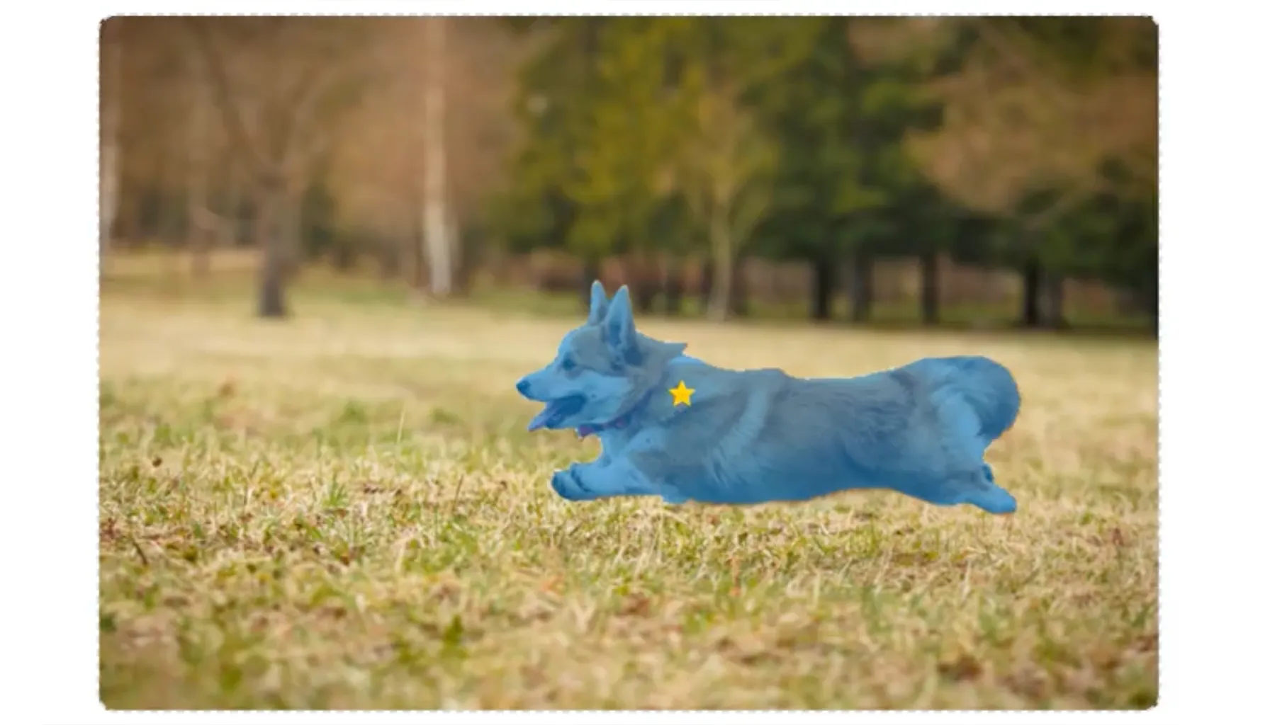 Meta's Segment Anything Model (SAM)